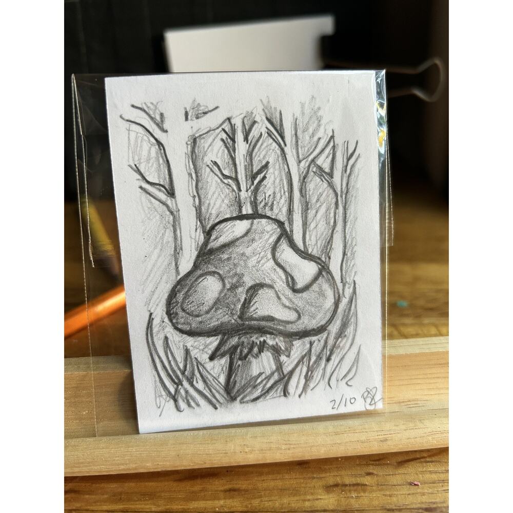 ACEO ART CARD ORIGINAL CUTE Nature Recess Mushrooms Graphite 2.5”x3.5” Signed